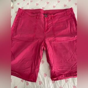 Lane Bryant Pink Shorts